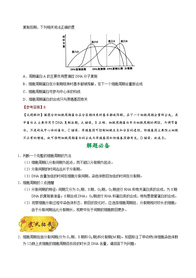 最新高考生物考点一遍过讲义 考点21 细胞的增殖03