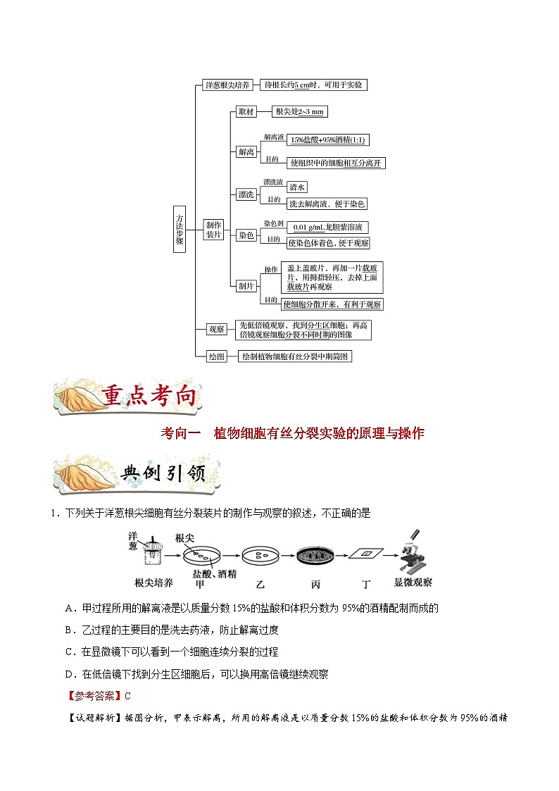 最新高考生物考点一遍过讲义 考点22 观察根尖分生区组织细胞的有丝分裂02