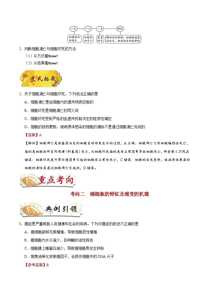 最新高考生物考点一遍过讲义 考点24 细胞的衰老、凋亡和癌变第3页