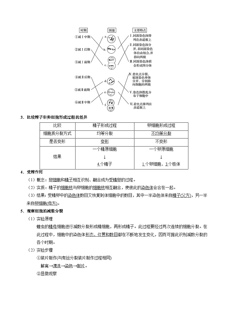 最新高考生物考点一遍过讲义 考点25 减数分裂和受精作用02