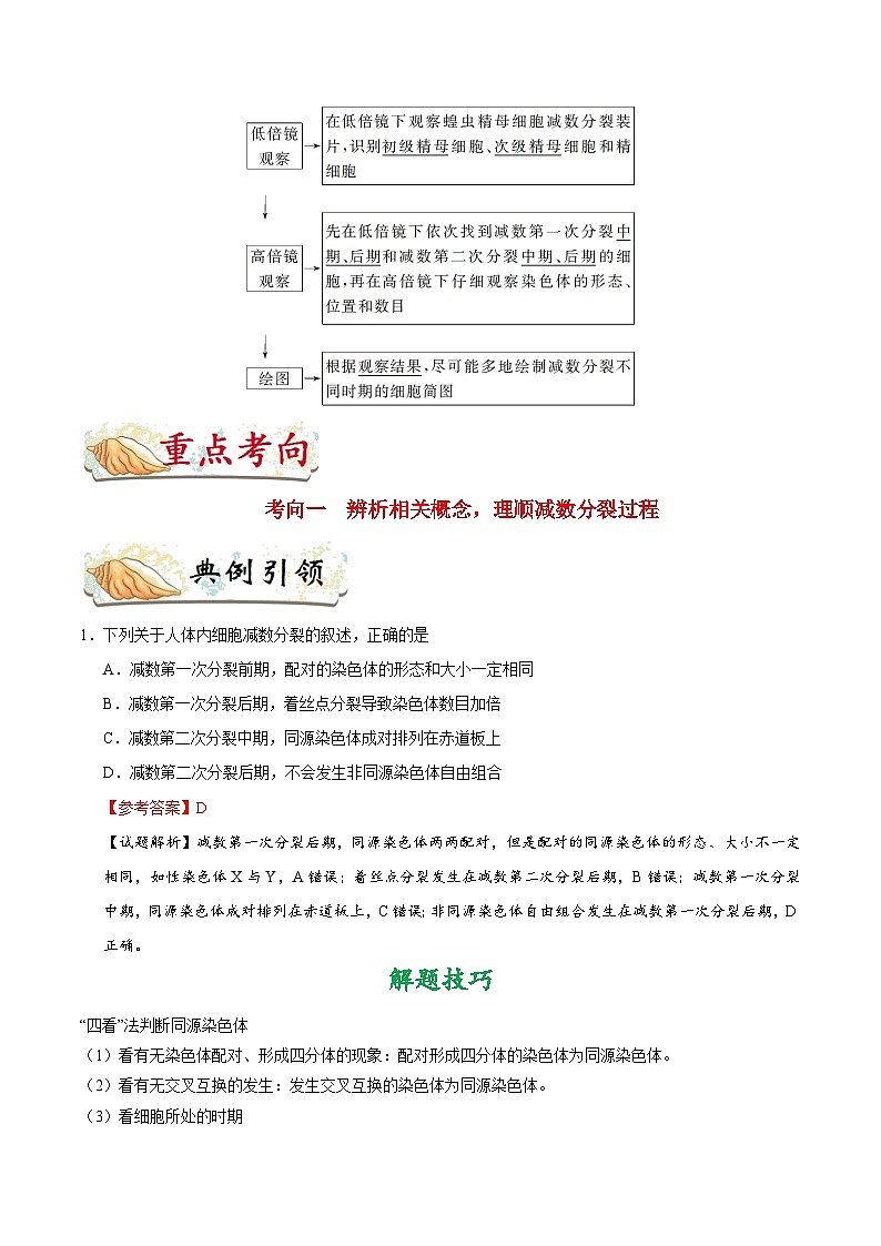 最新高考生物考点一遍过讲义 考点25 减数分裂和受精作用03