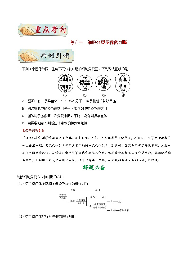 最新高考生物考点一遍过讲义 考点26 减数分裂和有丝分裂的综合第3页