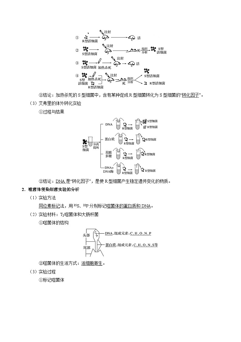 最新高考生物考点一遍过讲义 考点27 人类对遗传物质的探索过程02