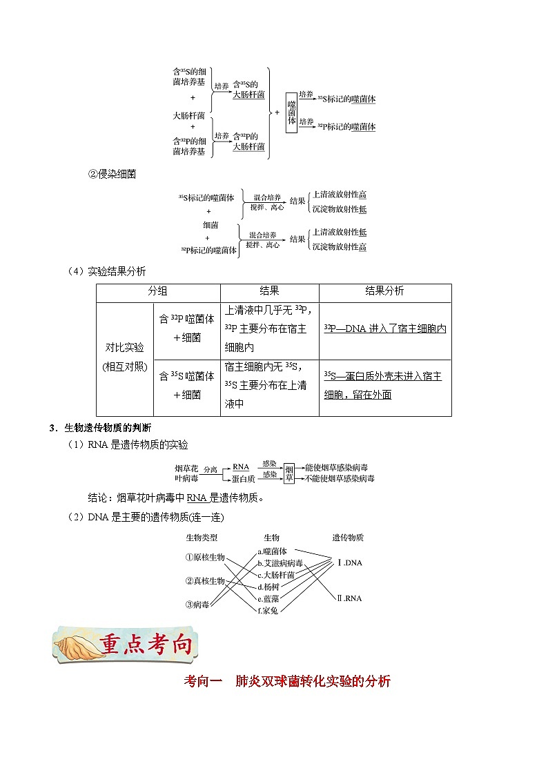 最新高考生物考点一遍过讲义 考点27 人类对遗传物质的探索过程03
