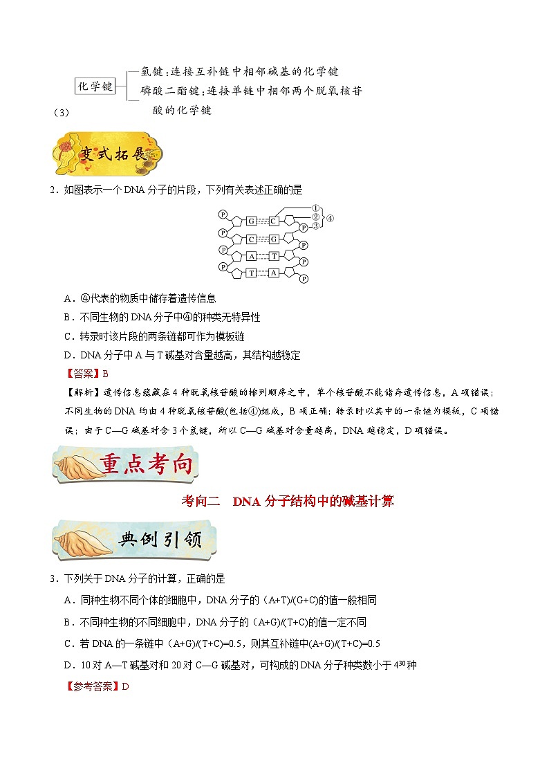 最新高考生物考点一遍过讲义 考点28 DNA分子的结构03