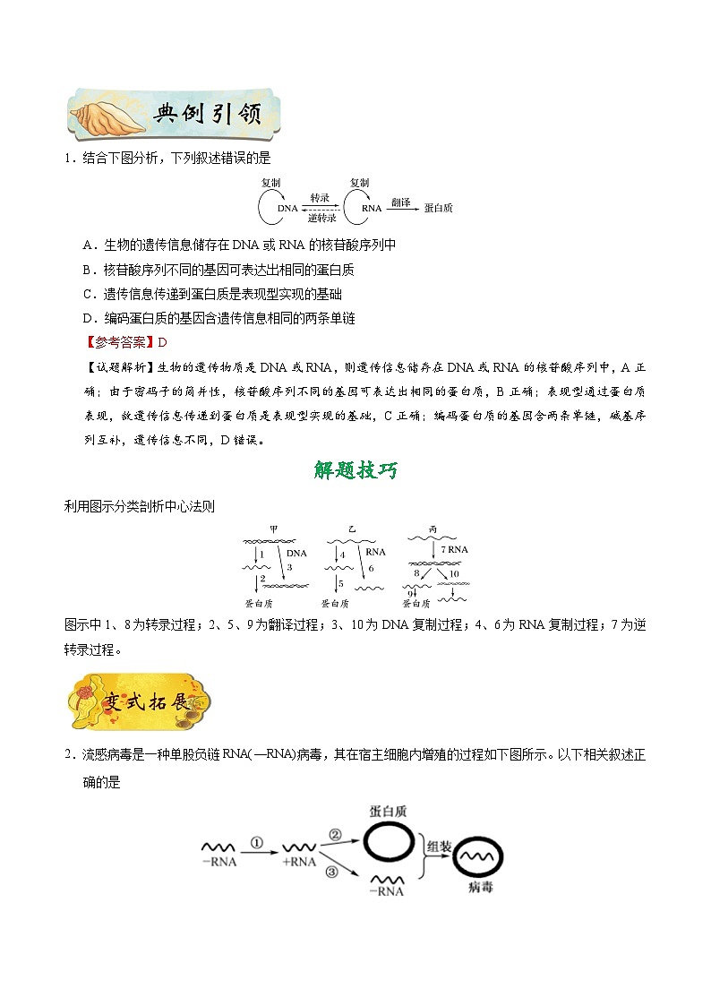 最新高考生物考点一遍过讲义 考点33 中心法则及其发展02