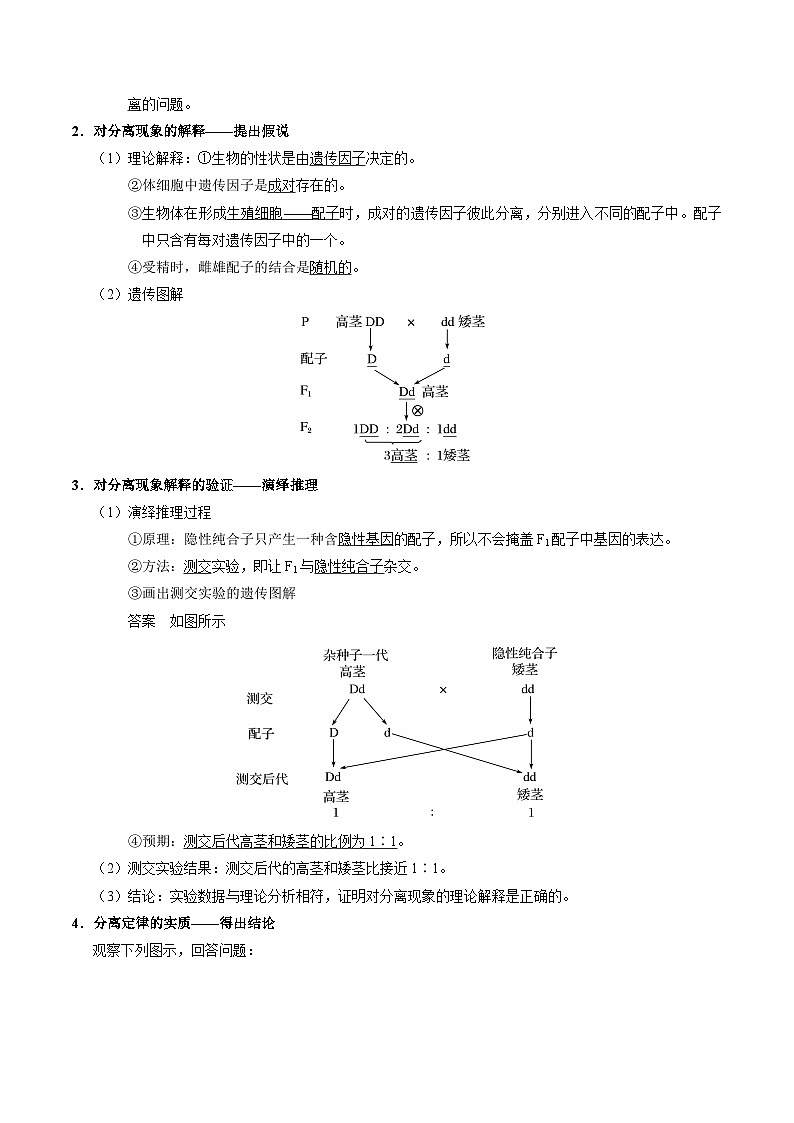 最新高考生物考点一遍过讲义 考点35 基因的分离定律第2页