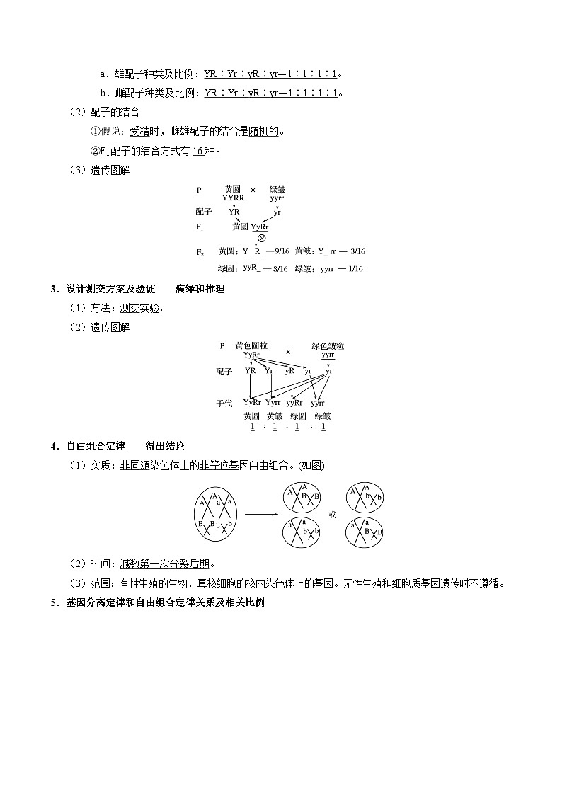 最新高考生物考点一遍过讲义 考点36 基因的自由组合定律02