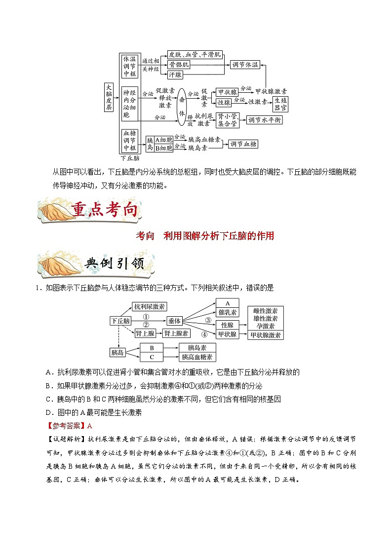 最新高考生物考点一遍过讲义 考点52 有关“下丘脑”的综合问题02