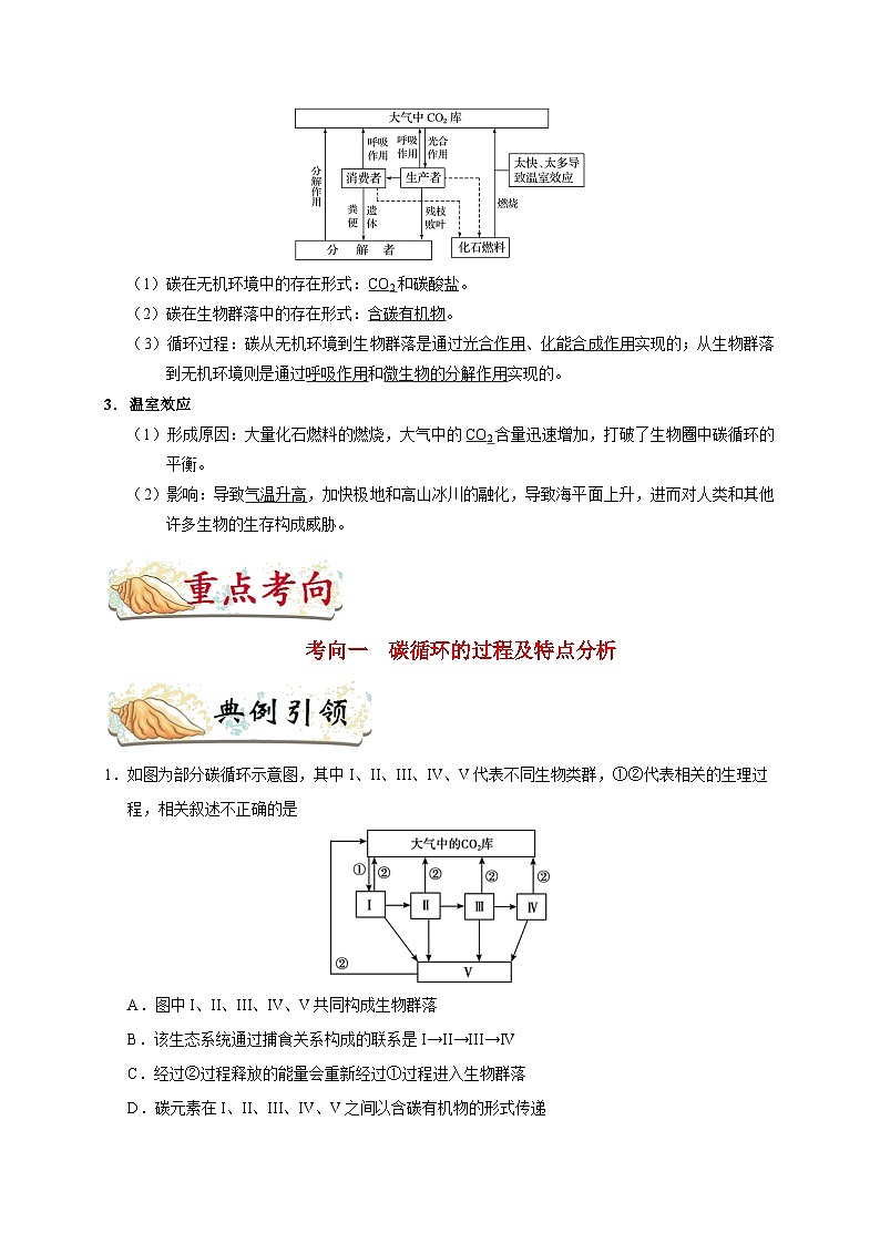 最新高考生物考点一遍过讲义 考点64 生态系统的物质循环第2页