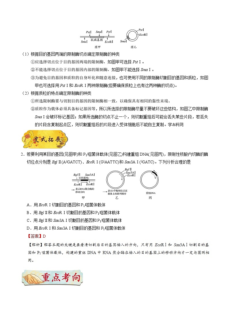 最新高考生物考点一遍过讲义 考点79 基因工程（一）03