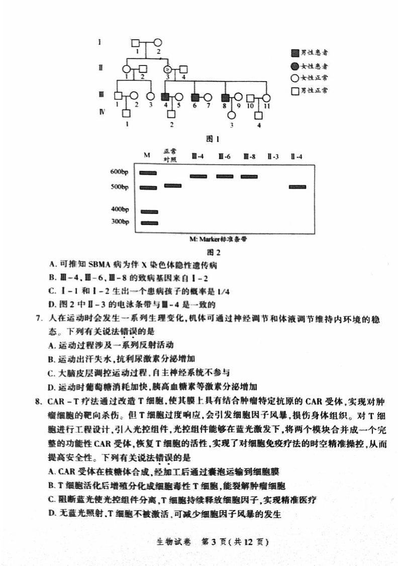 2024北京平谷高三零模生物试题及答案第3页