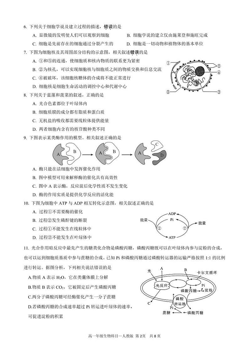 四川省雅安市天立教育集团2023-2024学年高一下学期开学考试生物试题02