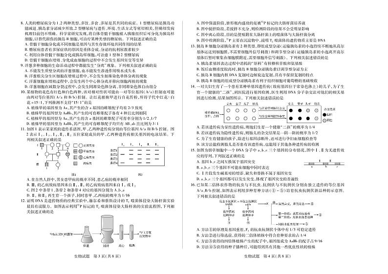 生物高三三联河南版第2页