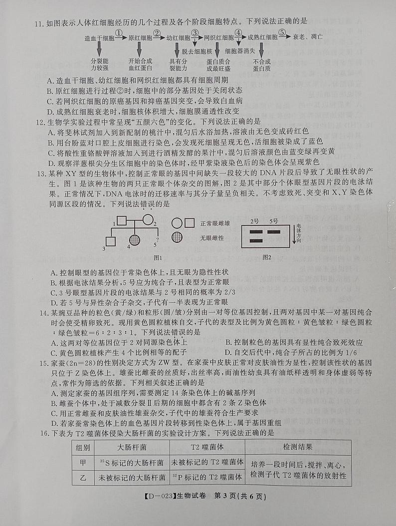 生物第3页