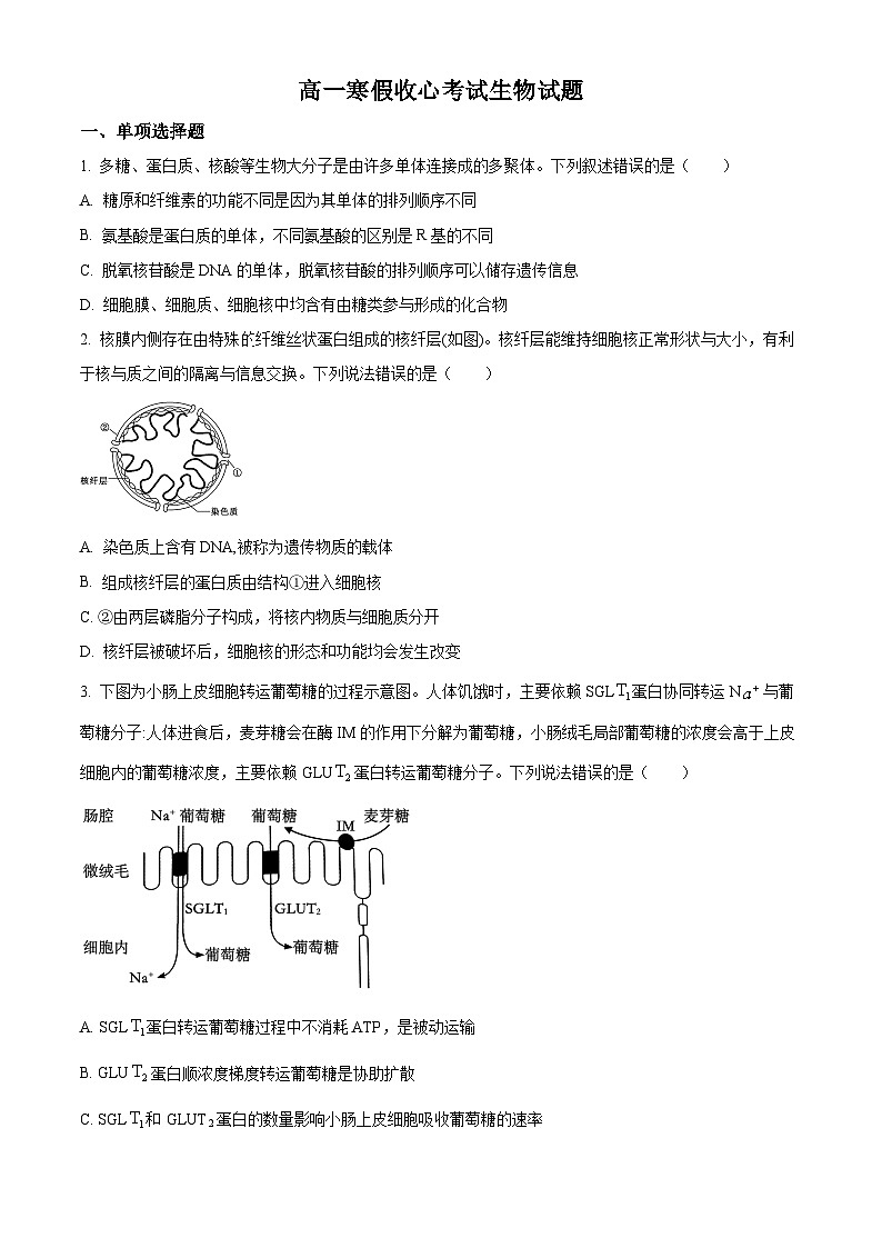 山东省烟台市莱州市第一中学2023-2024学年高一下学期开学考试生物试卷（Word版附解析）01