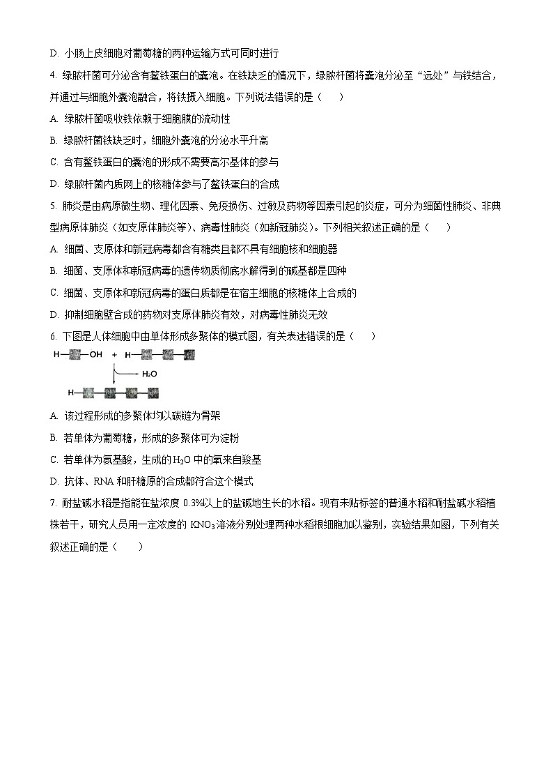 山东省烟台市莱州市第一中学2023-2024学年高一下学期开学考试生物试卷（Word版附解析）02