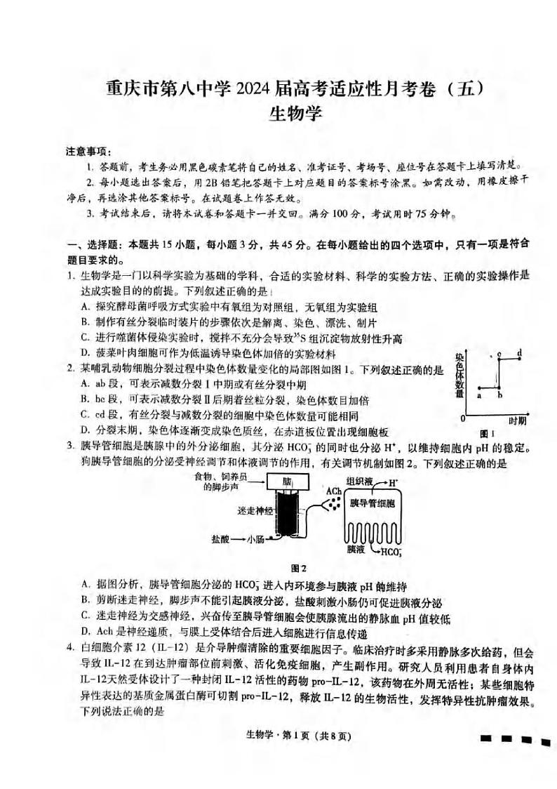 重庆市第八中学2024届高三下学期3月高考适应性月考卷（五）生物试卷（PDF版附答案）第1页