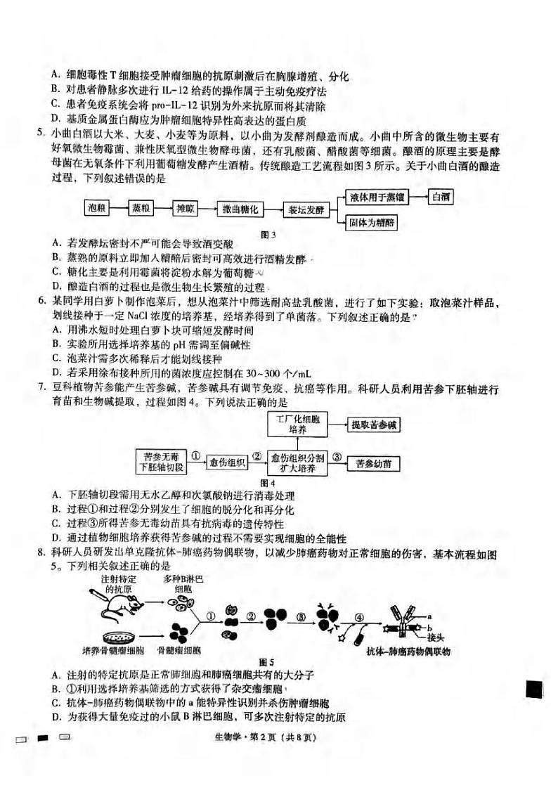 重庆市第八中学2024届高三下学期3月高考适应性月考卷（五）生物试卷（PDF版附答案）第2页