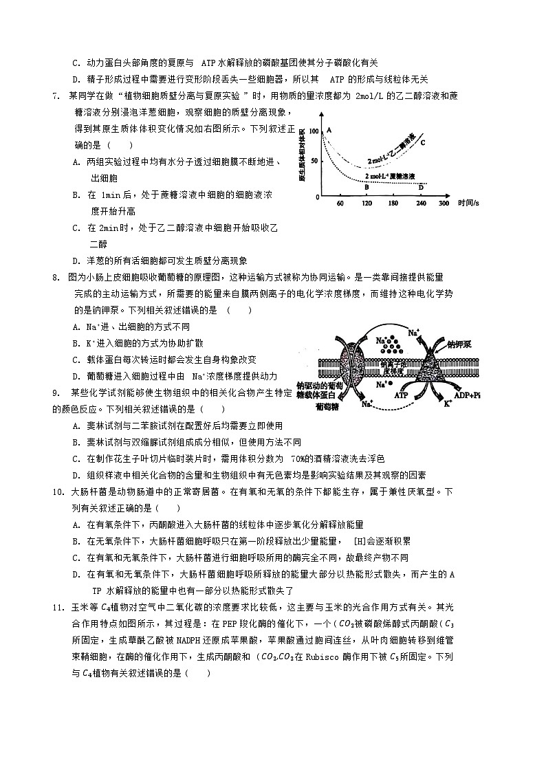 湖北术东南2023_2024高三生物上学期期中联考试题02