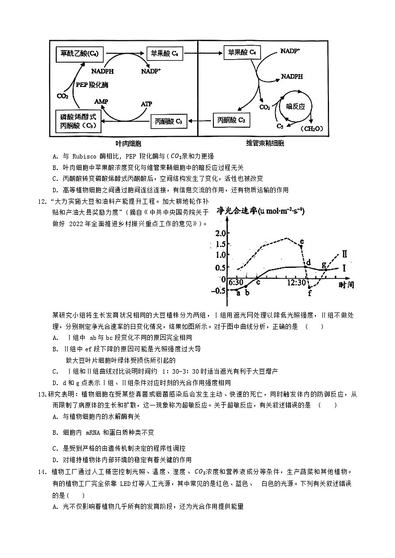 湖北术东南2023_2024高三生物上学期期中联考试题03