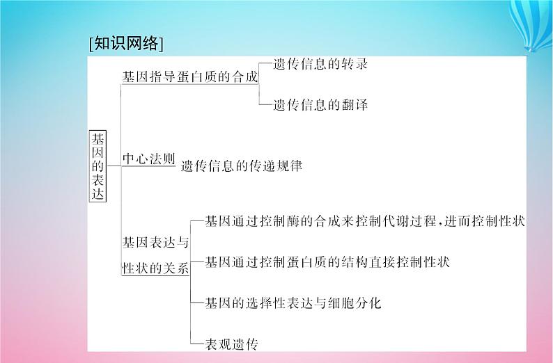 2024届高考生物学业水平测试复习专题八基因的表达课件02