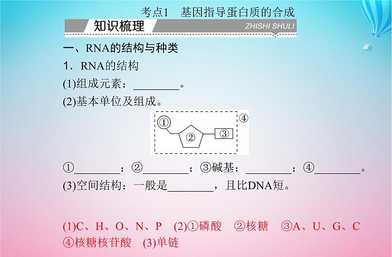 2024届高考生物学业水平测试复习专题八基因的表达课件03