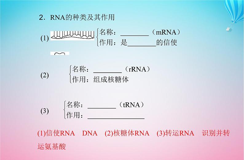 2024届高考生物学业水平测试复习专题八基因的表达课件04