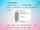 2024届高考生物学业水平测试复习专题八基因的表达课件