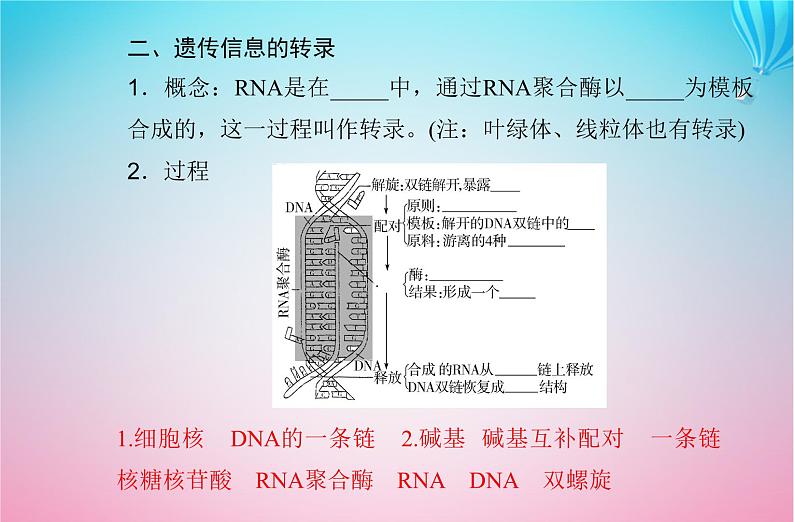 2024届高考生物学业水平测试复习专题八基因的表达课件05