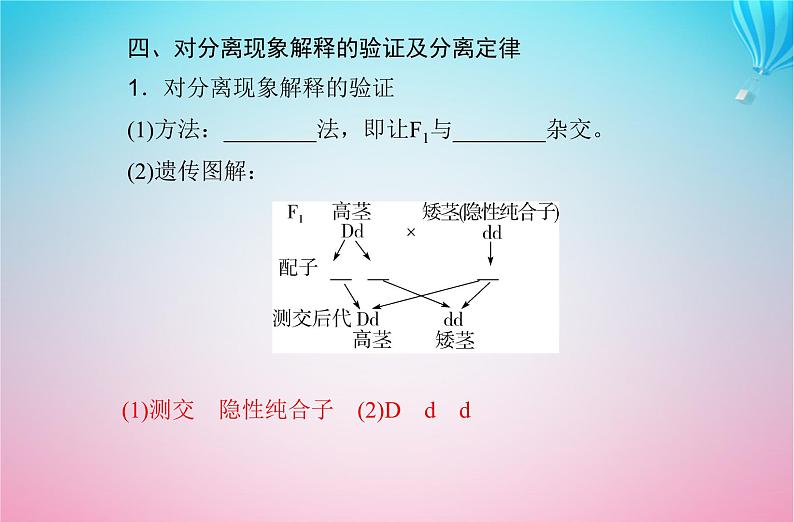 2024届高考生物学业水平测试复习专题九遗传的基本规律课件08