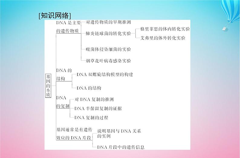 2024届高考生物学业水平测试复习专题七基因的本质课件02