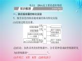 2024届高考生物学业水平测试复习专题七基因的本质课件