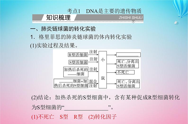 2024届高考生物学业水平测试复习专题七基因的本质课件03