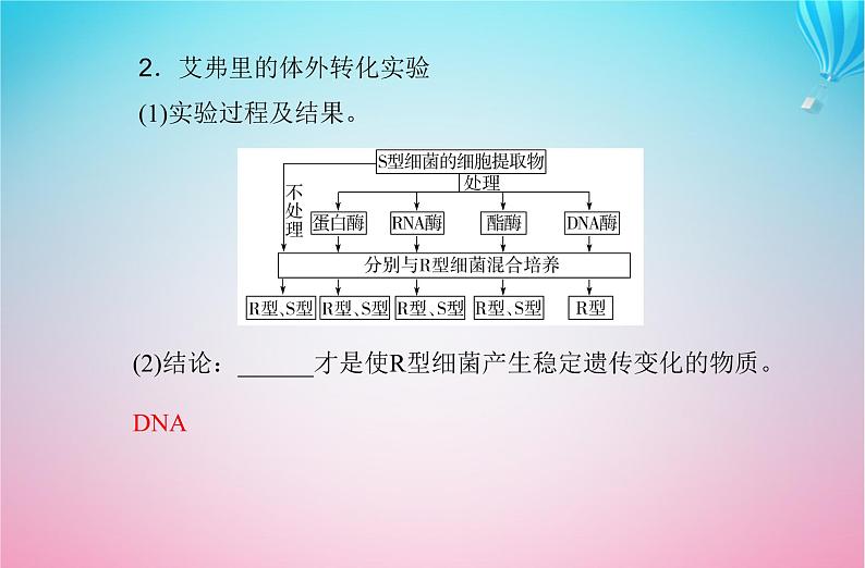 2024届高考生物学业水平测试复习专题七基因的本质课件04