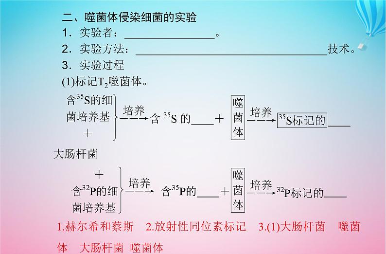 2024届高考生物学业水平测试复习专题七基因的本质课件05