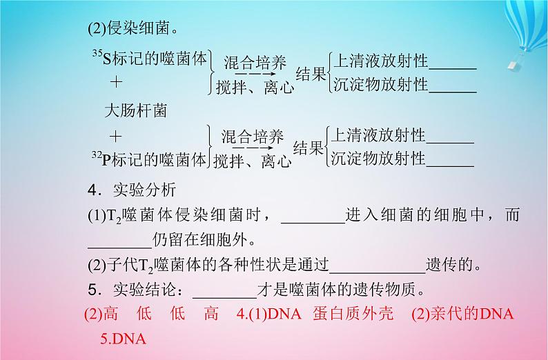 2024届高考生物学业水平测试复习专题七基因的本质课件06