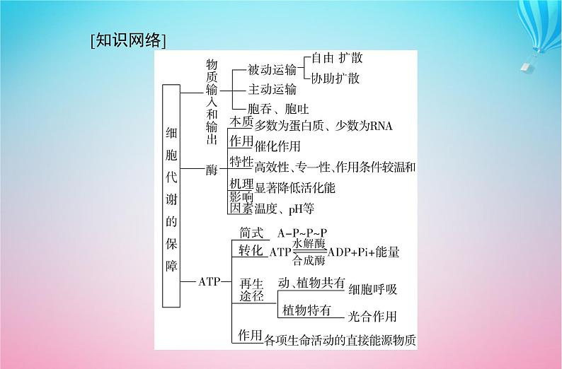 2024届高考生物学业水平测试复习专题三细胞代谢的保障课件02