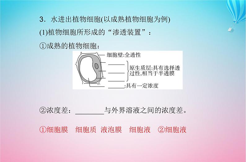 2024届高考生物学业水平测试复习专题三细胞代谢的保障课件05