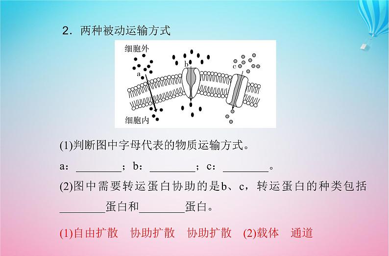 2024届高考生物学业水平测试复习专题三细胞代谢的保障课件08