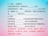 2024届高考生物学业水平测试复习专题十基因突变及其他变异课件
