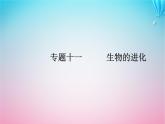 2024届高考生物学业水平测试复习专题十一生物的进化课件