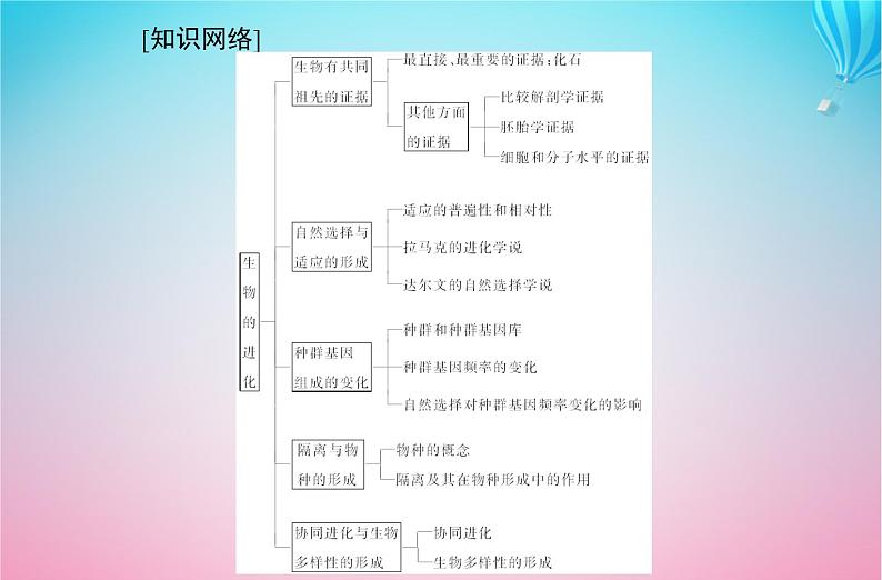 2024届高考生物学业水平测试复习专题十一生物的进化课件02