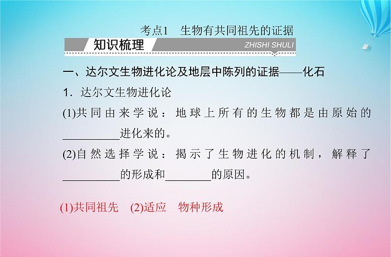 2024届高考生物学业水平测试复习专题十一生物的进化课件03