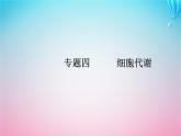 2024届高考生物学业水平测试复习专题四细胞代谢课件