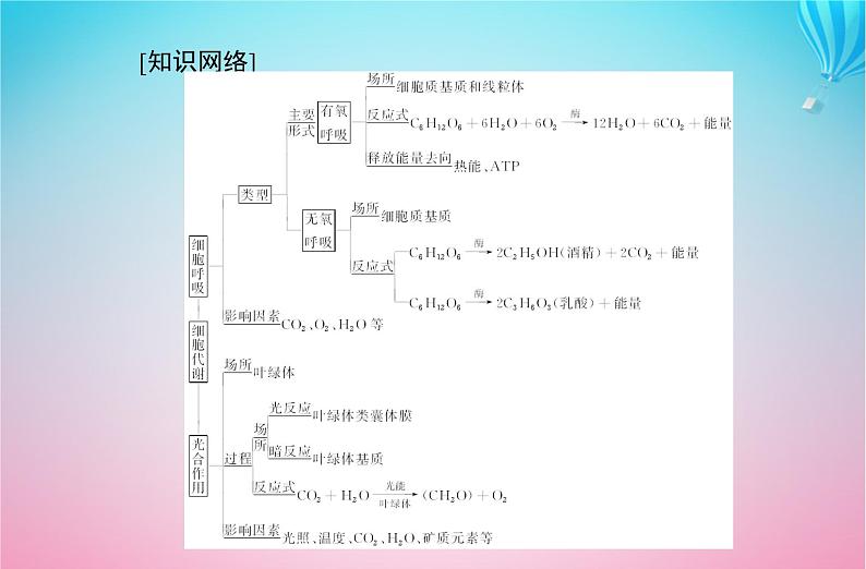 2024届高考生物学业水平测试复习专题四细胞代谢课件第2页