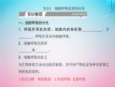 2024届高考生物学业水平测试复习专题四细胞代谢课件