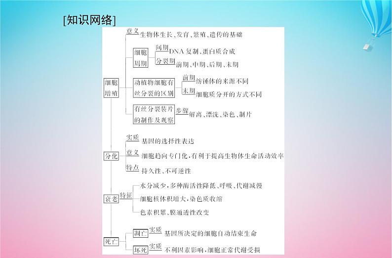 2024届高考生物学业水平测试复习专题五细胞的生命历程课件第2页