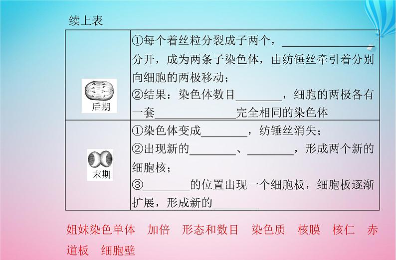 2024届高考生物学业水平测试复习专题五细胞的生命历程课件第6页