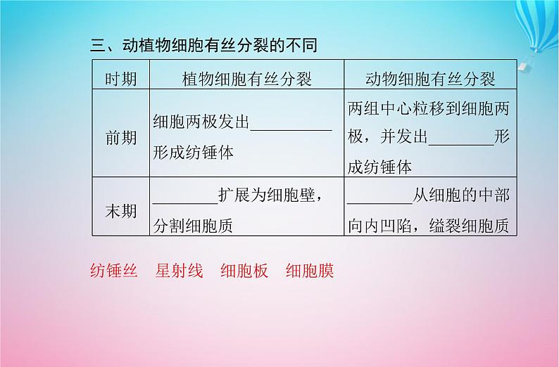 2024届高考生物学业水平测试复习专题五细胞的生命历程课件第7页